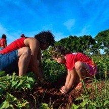 Governo prevê comprar R$ 700 milhões em terras para a reforma agrária em janeiro - Coletivo de Comunicação MST/PR