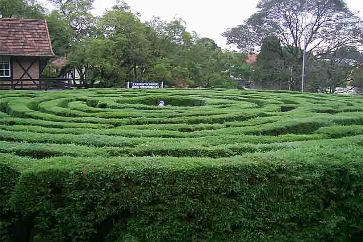 O Labirinto Verde, atrativo turístico mais famoso de Nova Petrópolis, no Rio Grande do Sul, é um local de diversão e desafia os visitantes em um caminho secreto em meio aos ciprestes. Atualmente, ele possui 28 metros de diâmetro e mais de 2 metros de altura.