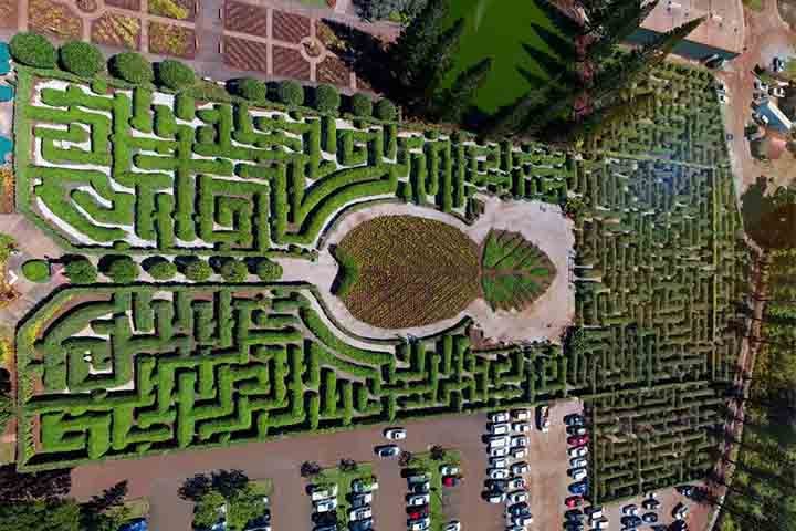 Um dos mais famosos jardins do mundo é o labirinto de plantação Dole, localizado na ilha de Oahu, no Havaí, nos Estados Unidos. Ele, inclusive, em 2008, foi considerado o maior do mundo: Possui mais de 1.6 hectares, 4 quilômetros de extensão e 14 mil plantas.