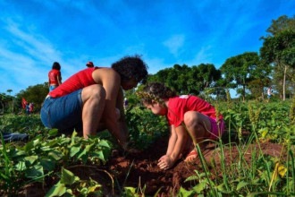 Governo prevê comprar R$ 700 milhões em terras para a reforma agrária em janeiro