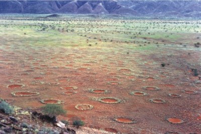 O fenômeno conhecido como 'círculos de fadas' tem intrigado pesquisadores ao longo de  muitos anos . Porém, pode ser mais comum do que eles pensavam inicialmente. -  (crédito: wikimedia commons Stephan Getzin)