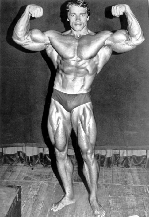 Como fisiculturista, Arnold Schwarzenegger faturou sete vezes o Mr. Olympia, recorde que vigorou até o norte-americano Lee Haney vencer oito vezes seguidas, de 1984 a 1991.