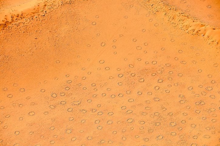 Antes, esses anéis eram observados somente em áreas áridas do Deserto do Namíbia, na África do Sul, e no interior da região oeste da Austrália.