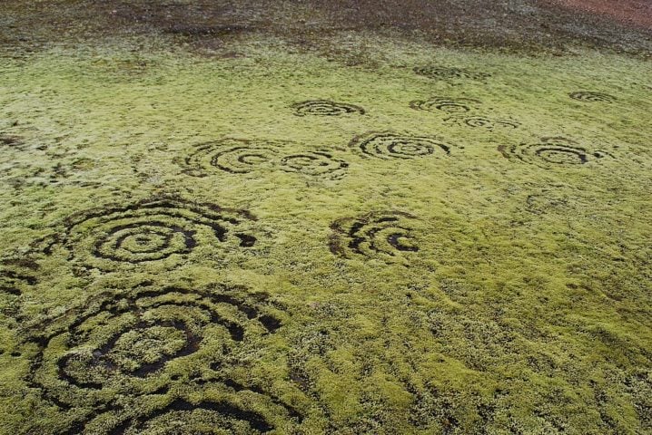 Além dos círculos de fadas, existem outros eventos naturais que podem criar áreas de solo descoberto com formato circular e repetitivo na paisagem. 