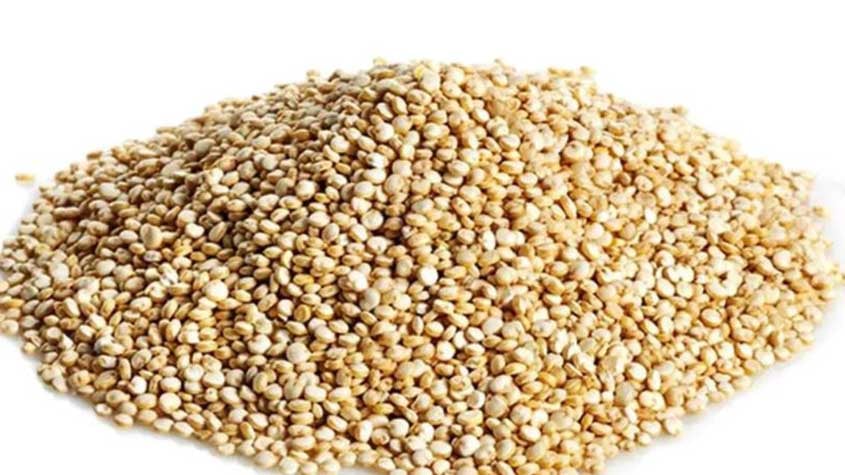 Quinoa: originária dos Andes, a quinoa é um cereal milenar.  Fonte de proteínas, fibras, vitaminas, ferro, cálcio, magnésio, potássio e outros aminoácidos essenciais, é encontrada em forma de grãos, flocos ou farinha. 