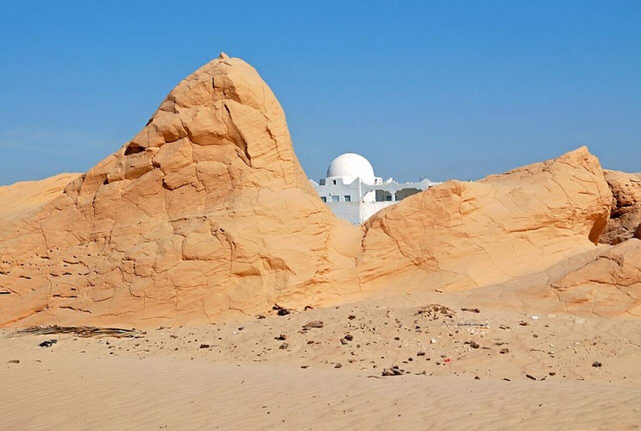 A dualidade climática da Tunísia se reflete em sua vegetação. No norte, o clima mediterrâneo propicia uma rica flora, enquanto o centro-sul é caracterizado por condições desérticas.