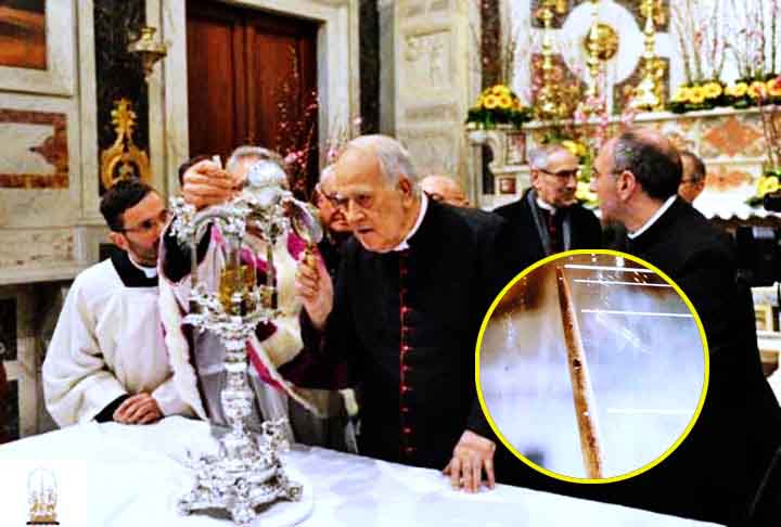 SANTOS ESPINHOS - Além da Coroa de Espinhos completa, espinhos individuais da coroa foram distribuídos entre igrejas importantes, como a Catedral de Notre-Dame em Paris e a Santa Capela. Esses espinhos são considerados fragmentos sagrados associados diretamente ao sofrimento de Cristo durante a Paixão.
