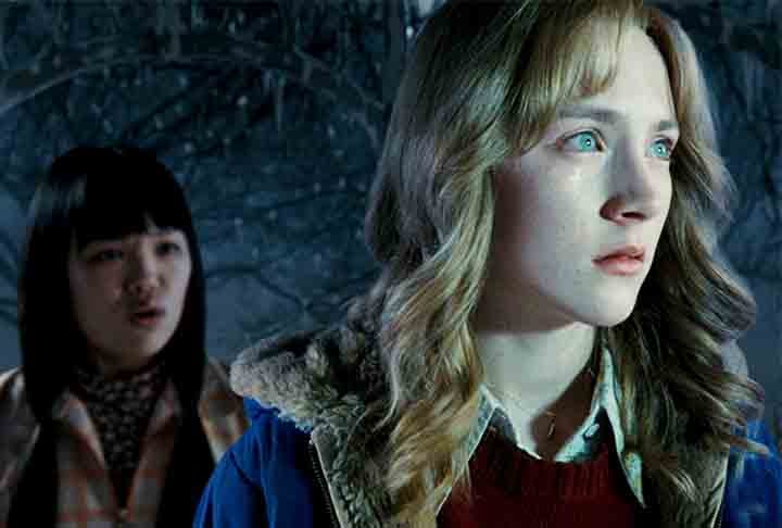 A história é narrada por Susie Salmon (Saoirse Ronan), uma adolescente de 14 anos que é assassinada e se encontra em um limbo celestial. 