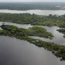 Transamazônica: do sonho de um "novo Brasil" ao pesadelo - Valter Campanato/Ag. Brasil