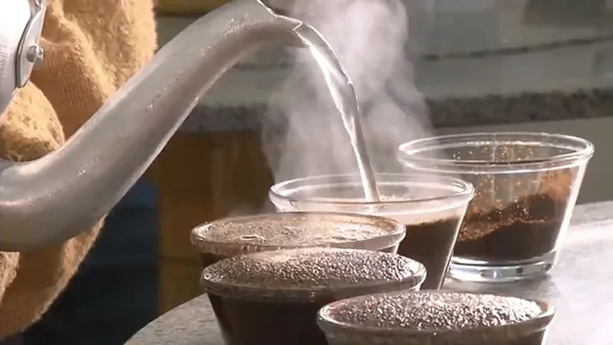 A Robusta é mais resistente e pode ser plantada desde o nível do mar até 600 metros de altitude. É produzida, principalmente, em Rondônia, Bahia e Espírito Santo. Tem sabor intenso. O grão tem 2,5% de cafeína.