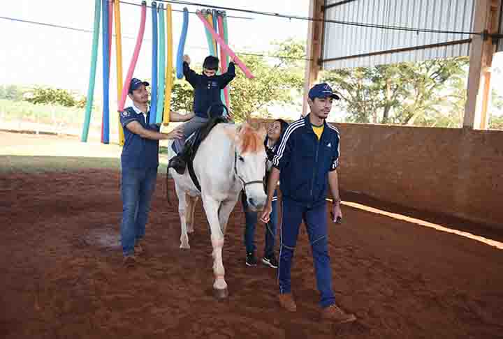 Normalmente, as sessões são iniciadas com baixos níveis de interação com o cavalo, como fazer carinho ou alimentar o animal. Depois, é possível que o paciente monte no cavalo e até o conduza, sempre com a supervisão e acompanhamento do terapeuta.