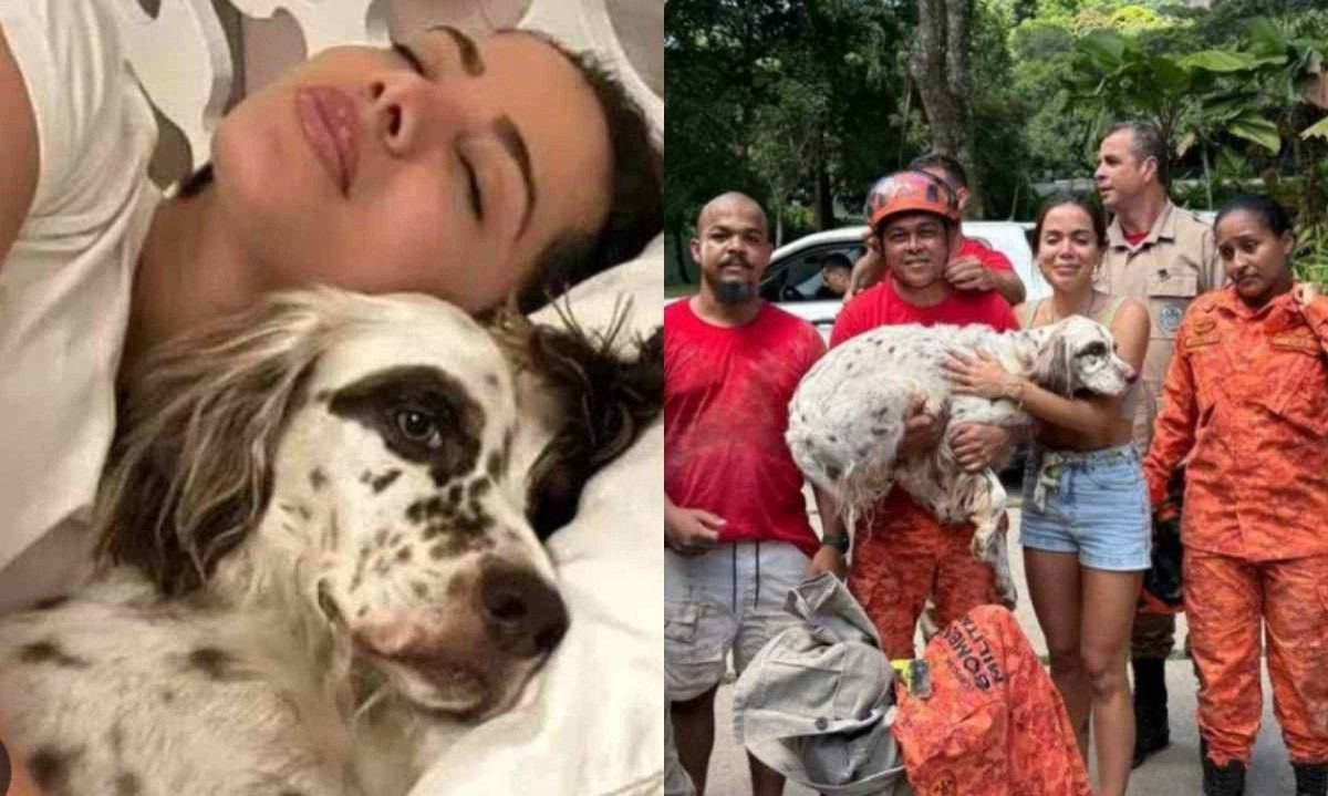 Anitta mobilizou as redes sociais em busca de seu cachorro, Charlie  -  (crédito: Reprodução)