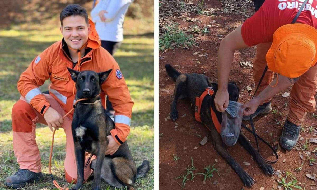 Alef Nathan e Hera treinam juntos desde que a cadela tinha 3 meses de vida -  (crédito: Arquivo Pessoal/Divulgação)