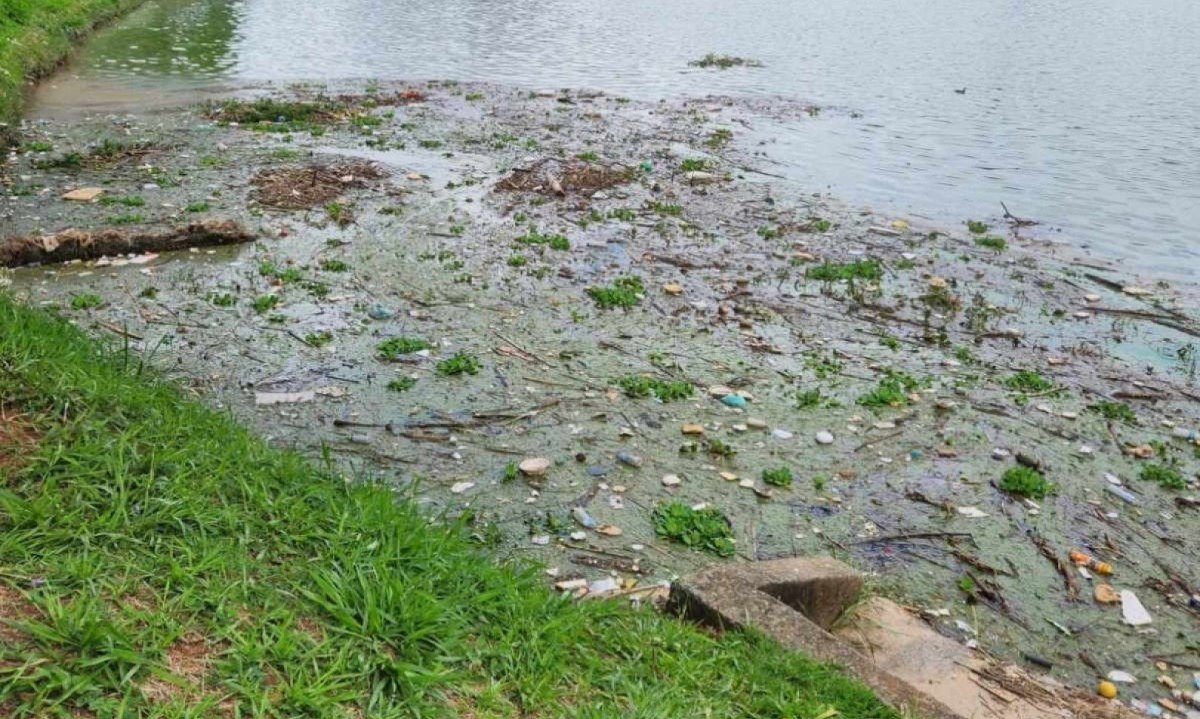 A Lagoa da Pampulha recebe águas de oito córregos -  (crédito: Ellen Cristie/EM/D.A Press)