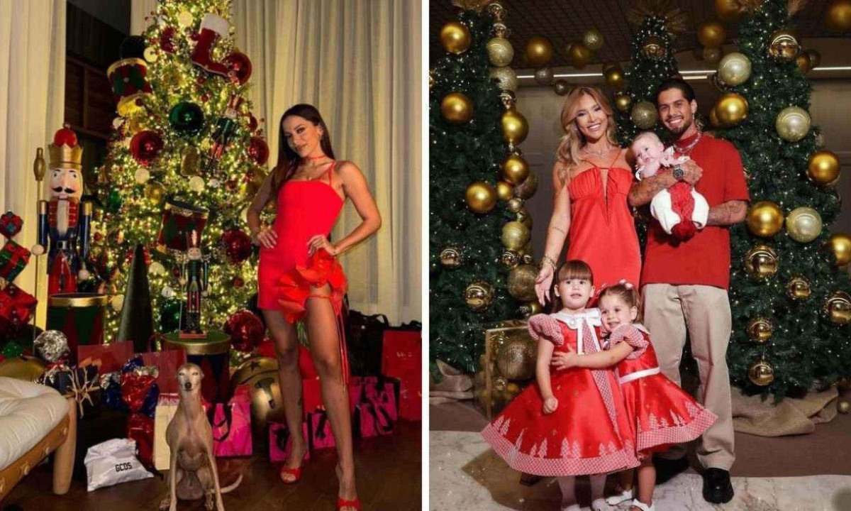 Anitta e Virginia comemoraram o Natal em família -  (crédito: Reprodução / redes sociais)