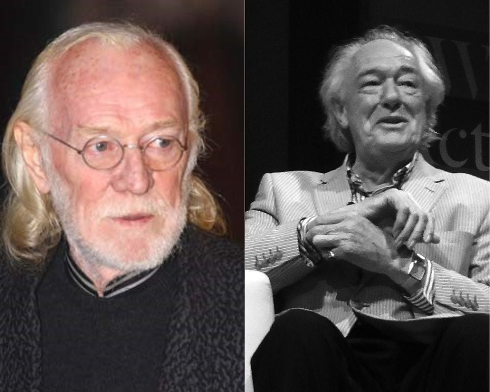 O sábio mentor da escola de bruxos mais famosa do cinema foi interpretado Richard Harris (esquerda) apenas nos dois primeiros filmes da franquia. Após sua morte, em 2002, foi substituído por Michael Gambon (direita), nos seis filmes restantes.