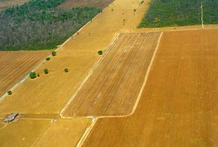 Segundo a Agência FAPESP, o aquecimento global tem afetado a região, causando um distúrbio: a tempratura do solo, ao ficar muito elevada, faz com que a água da chuva evapore antes de se infiltrar no solo. 