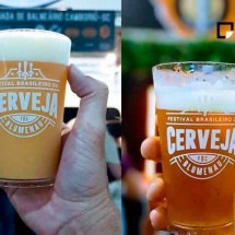 Entenda por que Blumenau é oficialmente a capital nacional da cerveja -  Instagram @festivaldacerveja