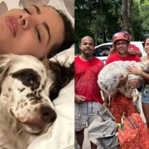 Cachorro de Anitta foge em noite de Natal e é resgatado por bombeiros  - Reprodução