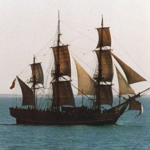 História do "Motim do HMS Bounty" é tão incrível que virou filme - wikimedia commons Serendigity