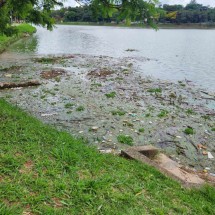 Lagoa da Pampulha é novamente alvo de reclamações por mau cheiro - Ellen Cristie/EM/D.A Press