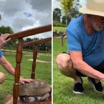 Lula mostra jabutis da Granja do Torto: 'Responsabilidade de cuidar' - Reprodução