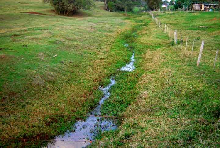 O desmatamento em si já pode alterar o ciclo hidrológico natural da região, pois a Ciência mostra que a vegetação é essencial para recarregar os lençóis freáticos.