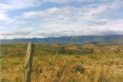 O Cerrado é um dos biomas mais importantes do Brasil. Entretanto, a região passa por uma degradação sem precedentes.  Um artigo publicado recentemente na Nature Communications - com base em estudo da USP - aponta que o Cerrado passa pela maior seca em 700 anos.  -  (crédito:  Flickr/fabianomatama)