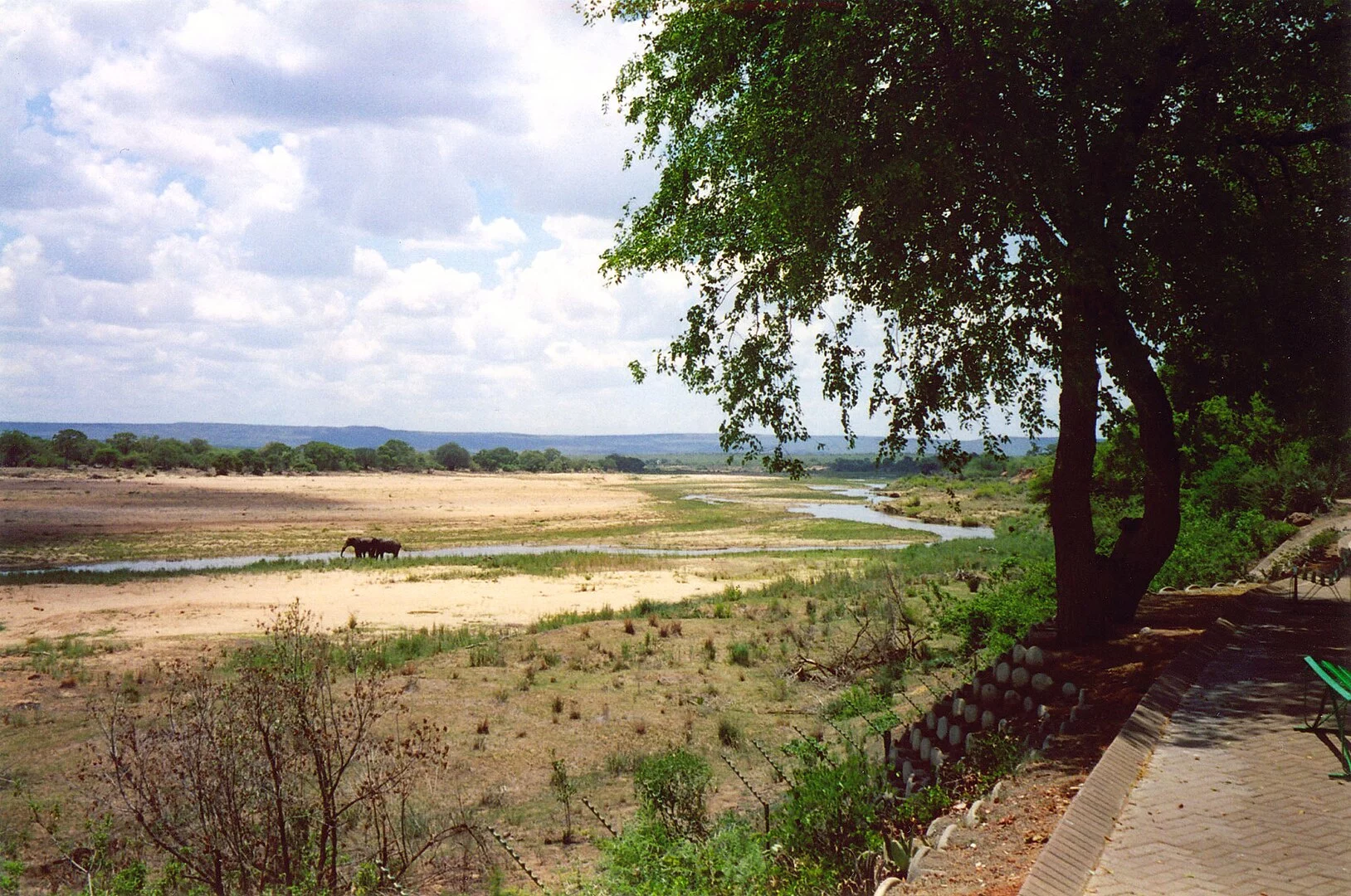 Uma reserva natural da África do Sul ganhou uma atração que chama atenção pela criatividade e pela capacidade de usar uma ideia inovadora para aproveitar algo supostamente perdido -  (crédito: Chris Eason  wikimedia commons)