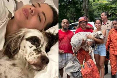 Anitta mobilizou as redes sociais em busca de seu cachorro, Charlie  -  (crédito: Reprodução)