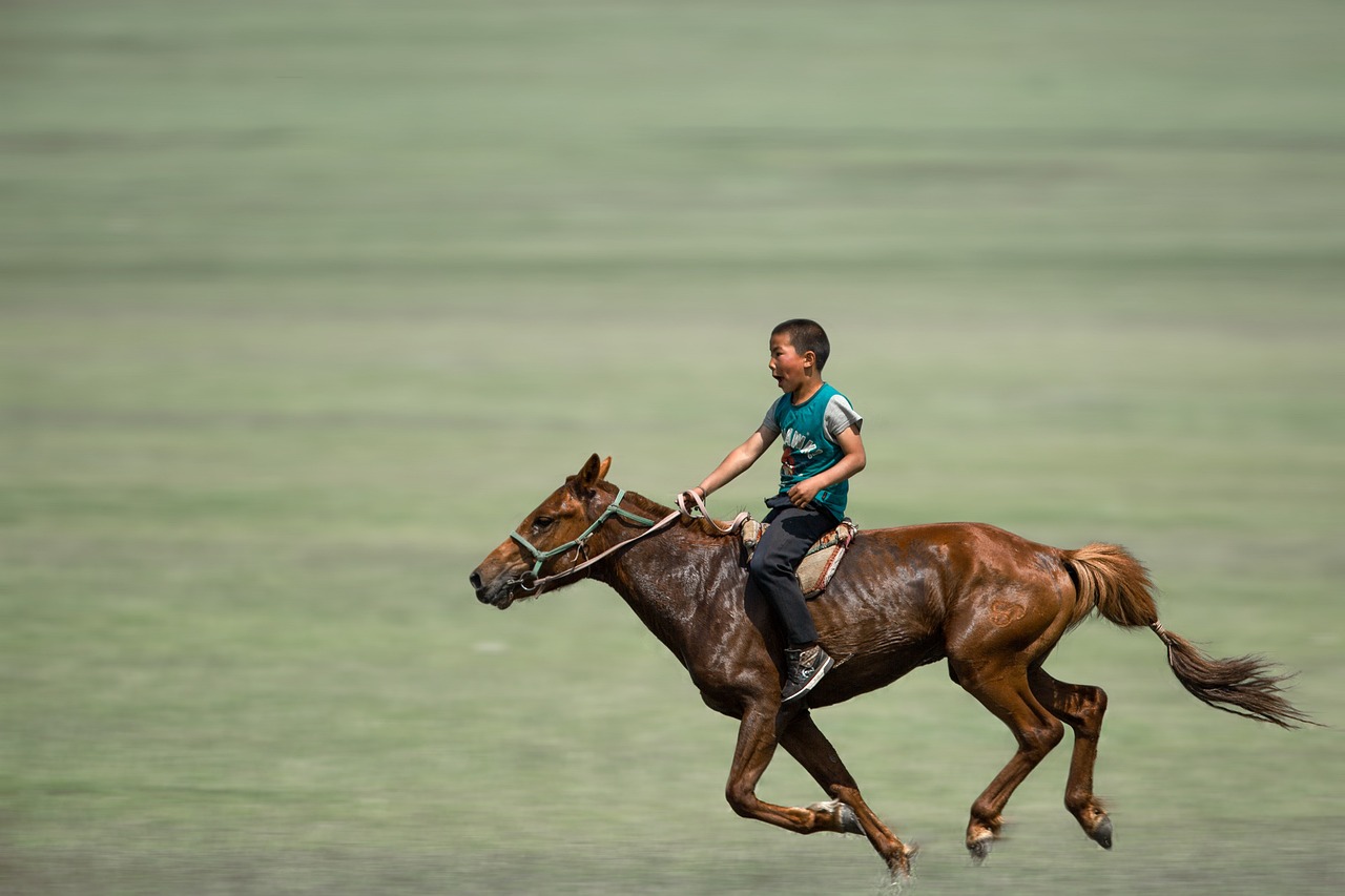 A terapia com cavalos estimula a sensibilidade tátil, visual e auditiva, melhora a postura e o equilíbrio, e favorece o tônus muscular. Também permite o desenvolvimento da coordenação motora e a percepção dos movimentos.