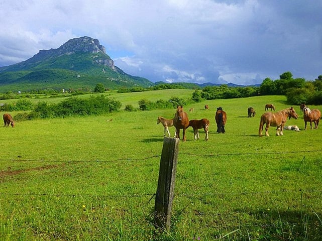 A agropecuária foi ampliada em 95 milhões de hectares, cerca de 10,6% do território nacional, em 38 anos, de acordo com a pesquisa MapBiomas. 