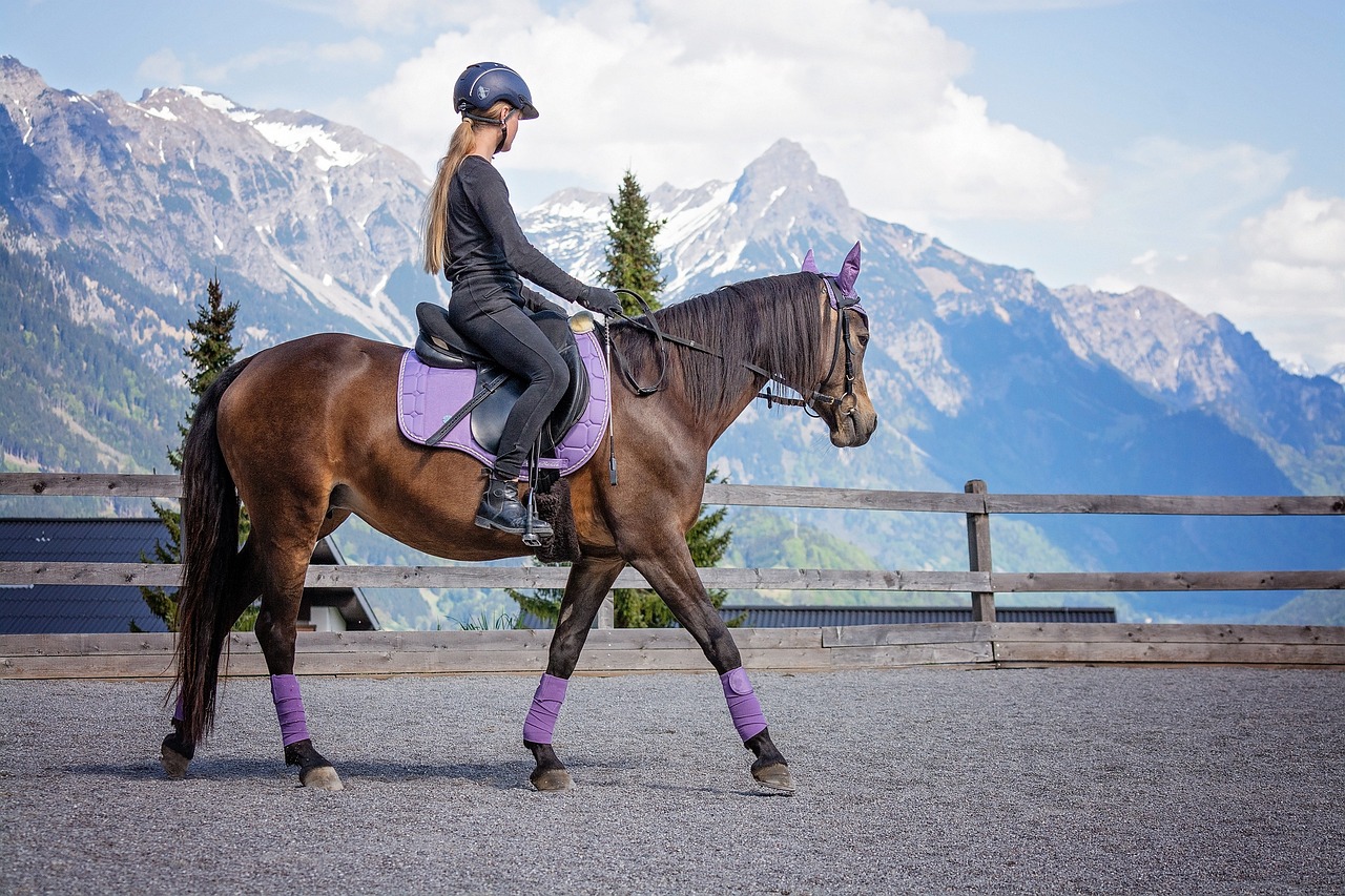 Esse tipo de terapia, também chamada de hipoterapia ou terapia assistida por cavalos, tem como base os padrões repetitivos dos movimentos do cavalo.