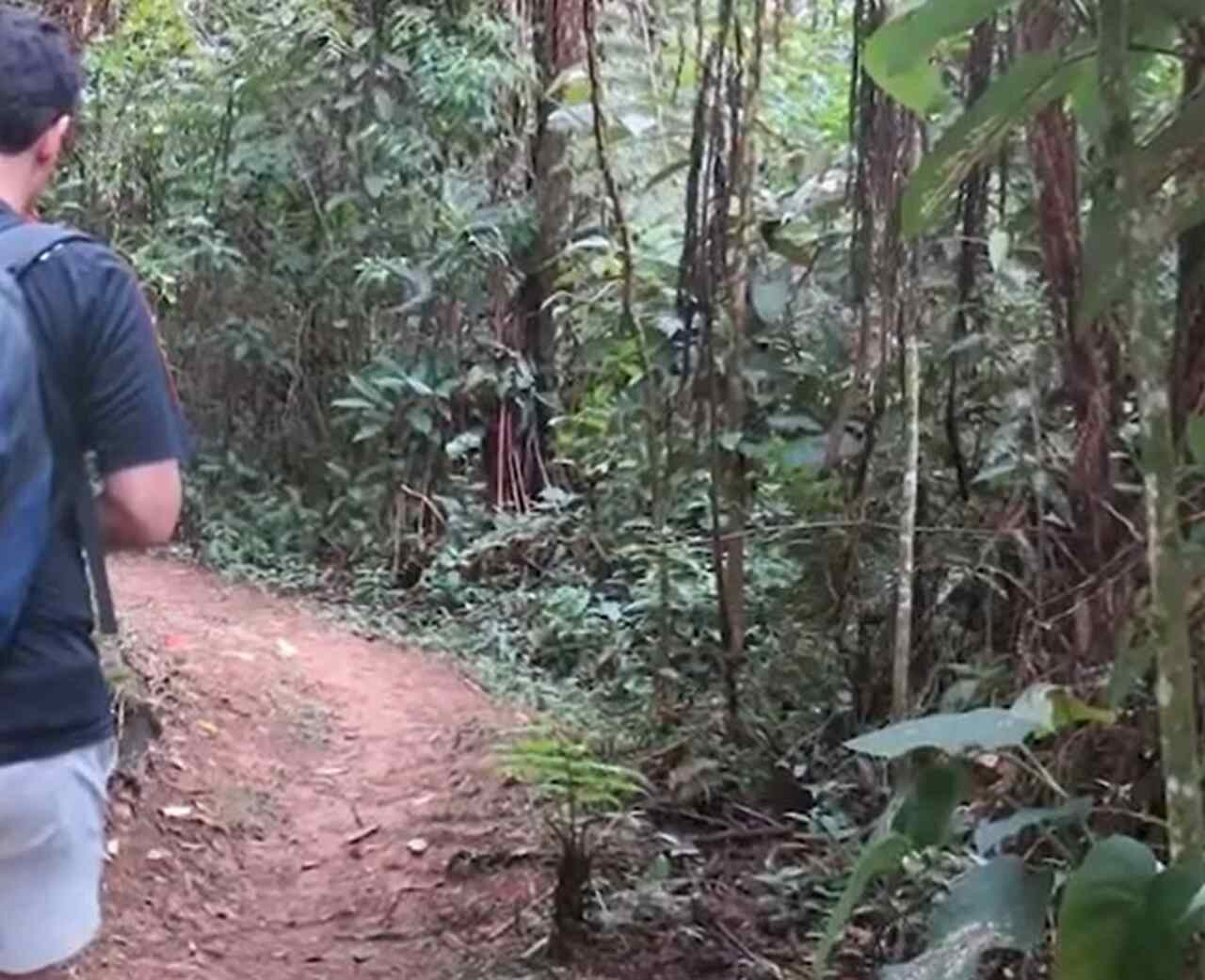 Além disso, Penedo possui um charme especial em suas estradinhas de terra, onde o turista pode se perder em meio à vegetação nativa da Serra da Mantiqueira.