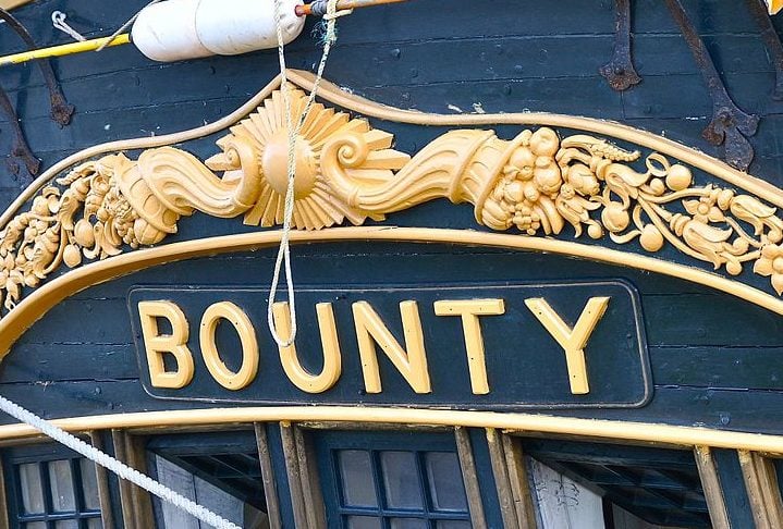 Após cinco meses de descanso no Taiti, durante os quais muitos marinheiros viveram em terra e formaram laços com mulheres nativas, a harmonia a bordo do Bounty começou a se deteriorar. 