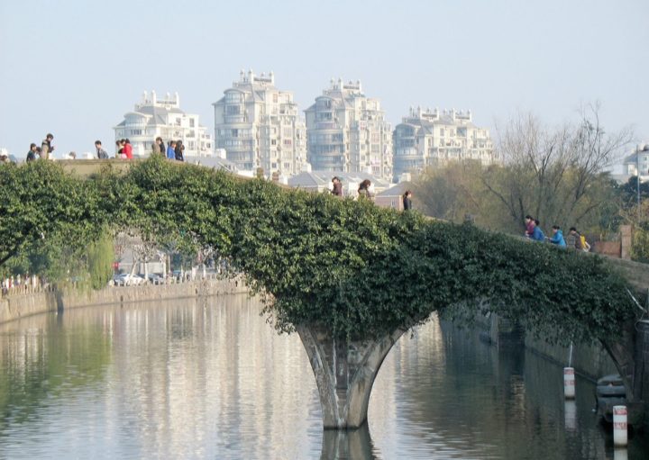 O caso aconteceu na cidade de Yuyao, na província de Zhejiang, a 1.200 km de Pequim.