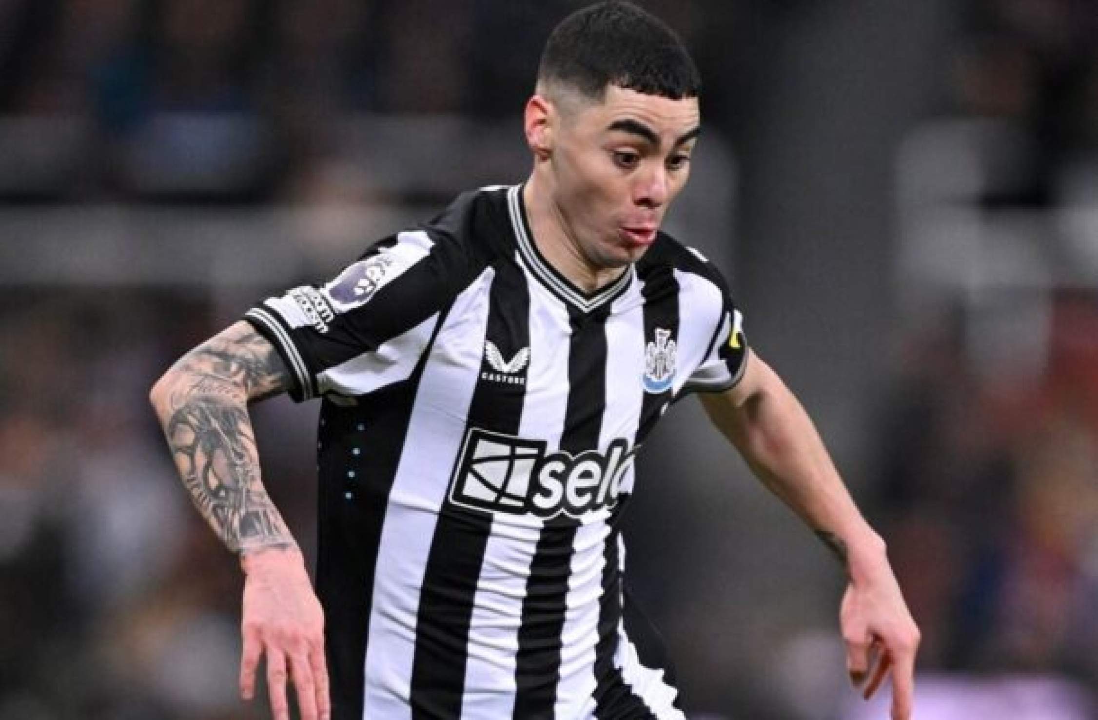 De olho no mercado, Botafogo tem interesse em Almirón, do Newcastle