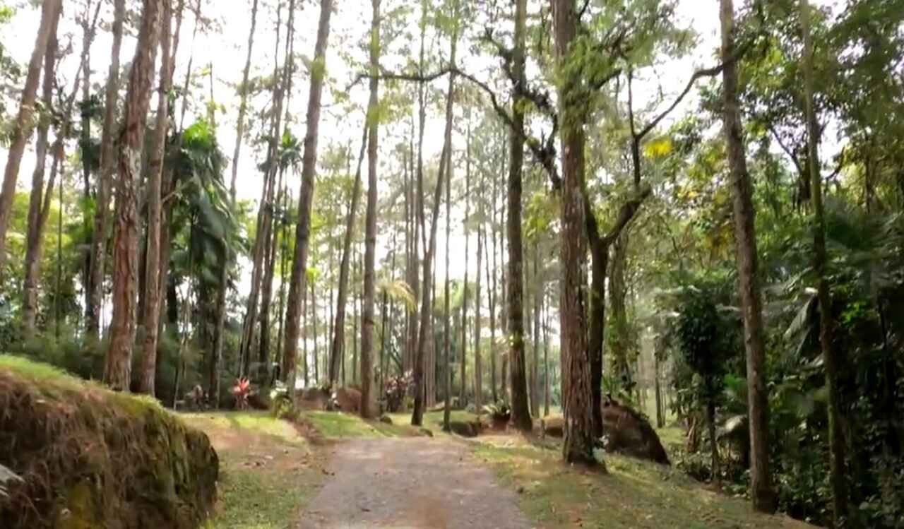 A cidade também é um excelente ponto de partida para quem deseja conhecer os arredores, como Visconde de Mauá, com suas águas cristalinas e paisagens montanhosas, ou a Serrinha do Alambari - região próxima que oferece trilhas, poços e esportes de aventura em meio a uma natureza intocada.