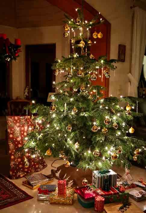 Pesquisadores na Estação do Polo Sul Amundsen-Scott dos Estados Unidos montaram uma árvore de Natal de sucata, decorada com ornamentos personalizados. A tradição se perpetuou por um breve período com o acréscimo de novos adornos por metalúrgicos a cada ano.