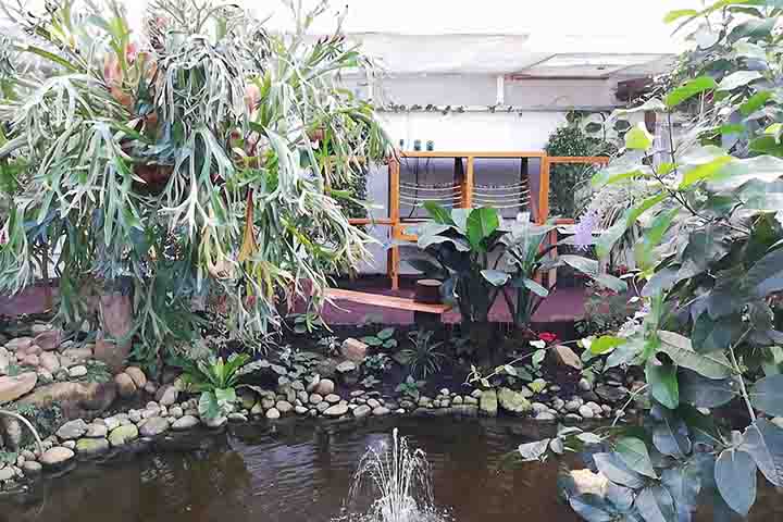 Butterfly garden Grevenmacher: Esse lugar encantador é um jardim, lar de uma grande variedade de borboletas. Os visitantes podem caminhar por trilhas sinuosas no meio das estufas, sempre observando as borboletas em seu habitat natural.