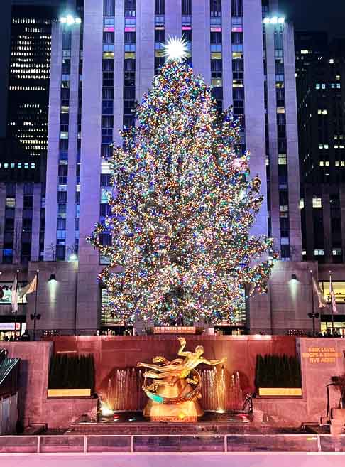 O complexo comercial Rockefeller Center, localizado em Nova Iorque, também tem um Natal tradicional. As luzes da árvore são acesas anualmente na primeira quarta-feira depois do dia de Ação de Graças e já contaram com a presença de artistas como: Mariah Carey, John Legend, Lea Michele e Diana Ross.