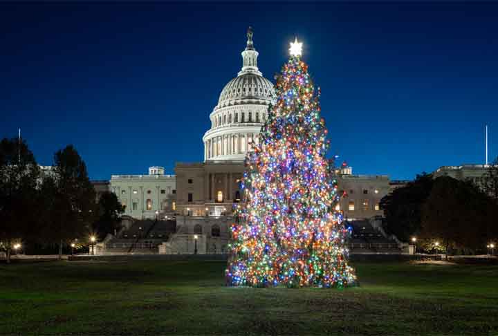 Todos os anos, uma floresta nacional dos EUA fornece a árvore que vai iluminar o Capitólio durante a época festiva. A estrela de 2023 é um abeto norueguês com 19 metros que veio diretamente da Floresta Nacional de Monongahela, na Virgínia Ocidental