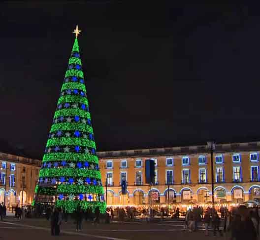 Em Lisboa, as árvores de Natal são um dos principais símbolos da quadra natalina, podendo ser encontradas em vários locais, desde públicos e privados.