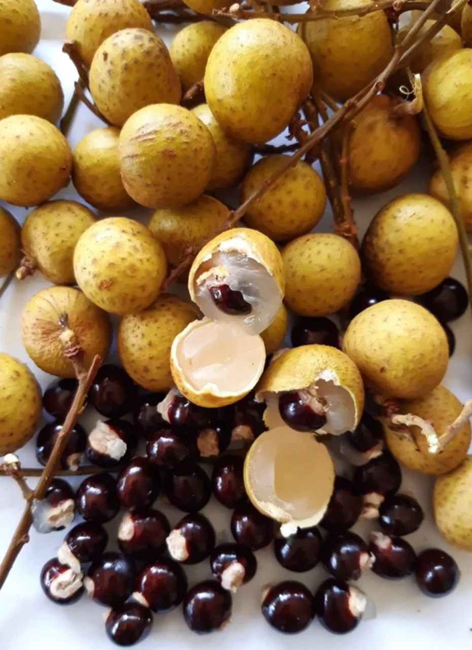 A fruta é pequena e redonda, com 1,5 a 2,5 cm de diâmetro. Tem casca fina, de cor marrom-amarelada ou bege. A polpa é translúcida, suculenta e branca, envolvendo uma semente única, que um olho. Daí o nome 