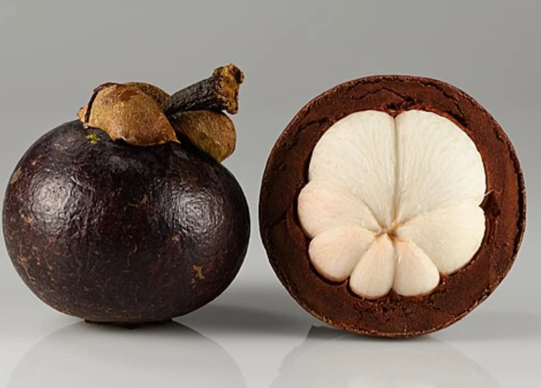 Mangostão (Garcinia mangostana) - Também chamada de 