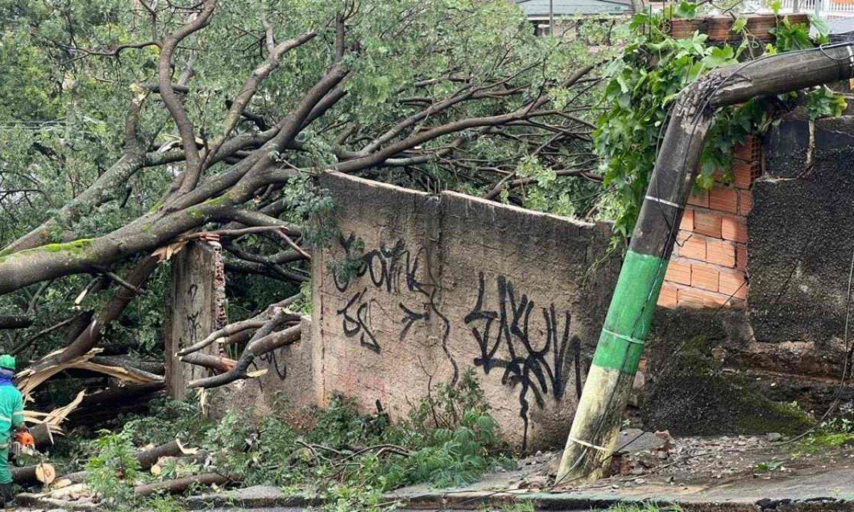 A queda no Bairro Cachoeirinha ocorreu na manhã de mais um dia de intensa chuva em BH -  (crédito: Edésio Ferreira/EM/D.A Press)