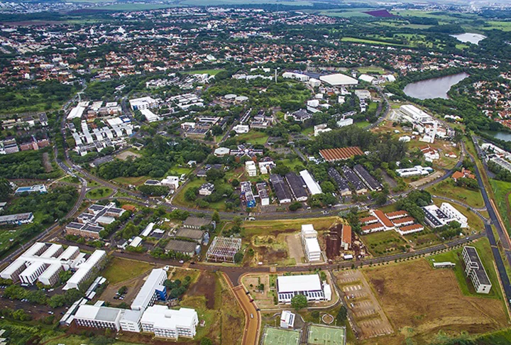 Benefícios dos derivados do coco; óleo pode ser vilão - Divulgação UNICAMP