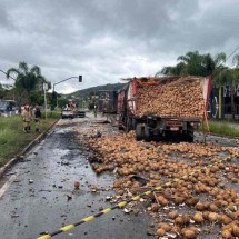 Veja fotos: acidente com caminhões espalha cocos na Via Expressa - Ed&eacute;sio Ferreira/EM/D.A Press