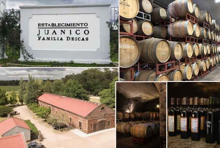 A 'Família Deicas' é um dos produtores mais renomados e pioneiros do Uruguai, combinando uma longa história com uma abordagem inovadora em relação ao vinho moderno. Com a produção, construíram as Bodegas voltadas ao vinhos de todos os tipos.