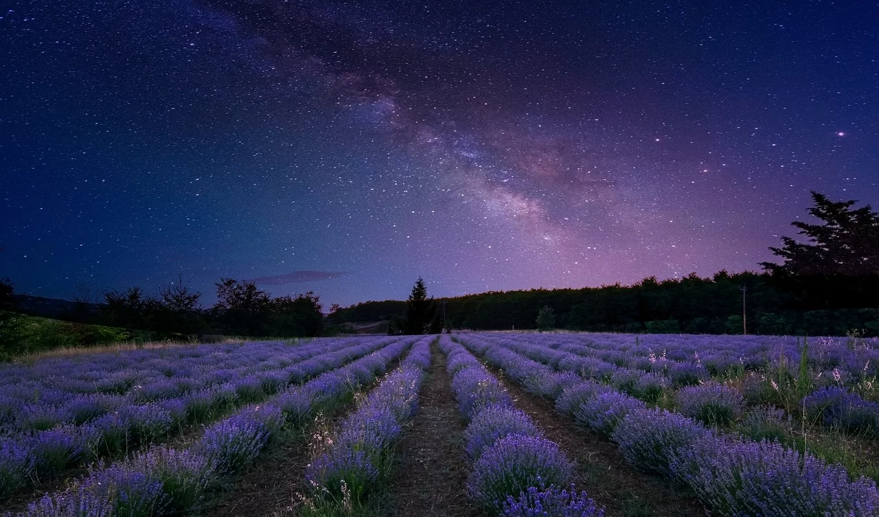 Astronomia é a ciência que estuda todos os corpos celestes do Universo. Já a Astrologia é um estudo dos supostos efeitos dos astros  sobre as pessoas. Uns acreditam, outros não.   -  (crédito: John Nature Photos pixabay)